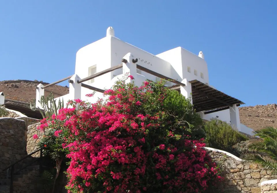 The villa behind a bush with pink flowers