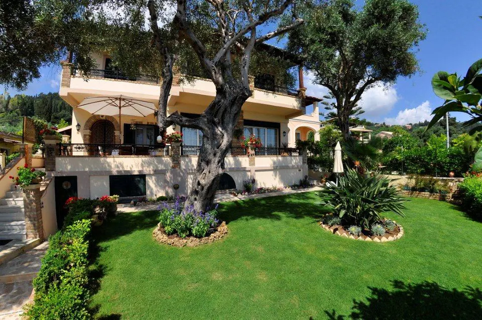 The house seen across the lawn, with an olive tree in front
